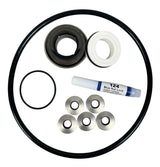 Ace Pumps Repair Kit Assembly for GE-85 Pump (60845) - RK-GE-85