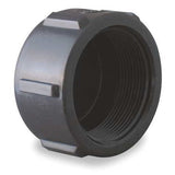 Banjo Black Poly Pipe Cap 1-1/4" Female NPT - CAP125