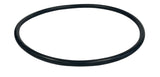Banjo 3 Inch Line Strainer EPDM Gasket For End Cap - LS300ECG