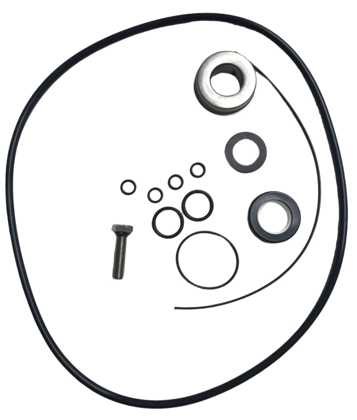 Hypro Seal Repair Kit for Transfer Pumps (1542P) - 3430-0635