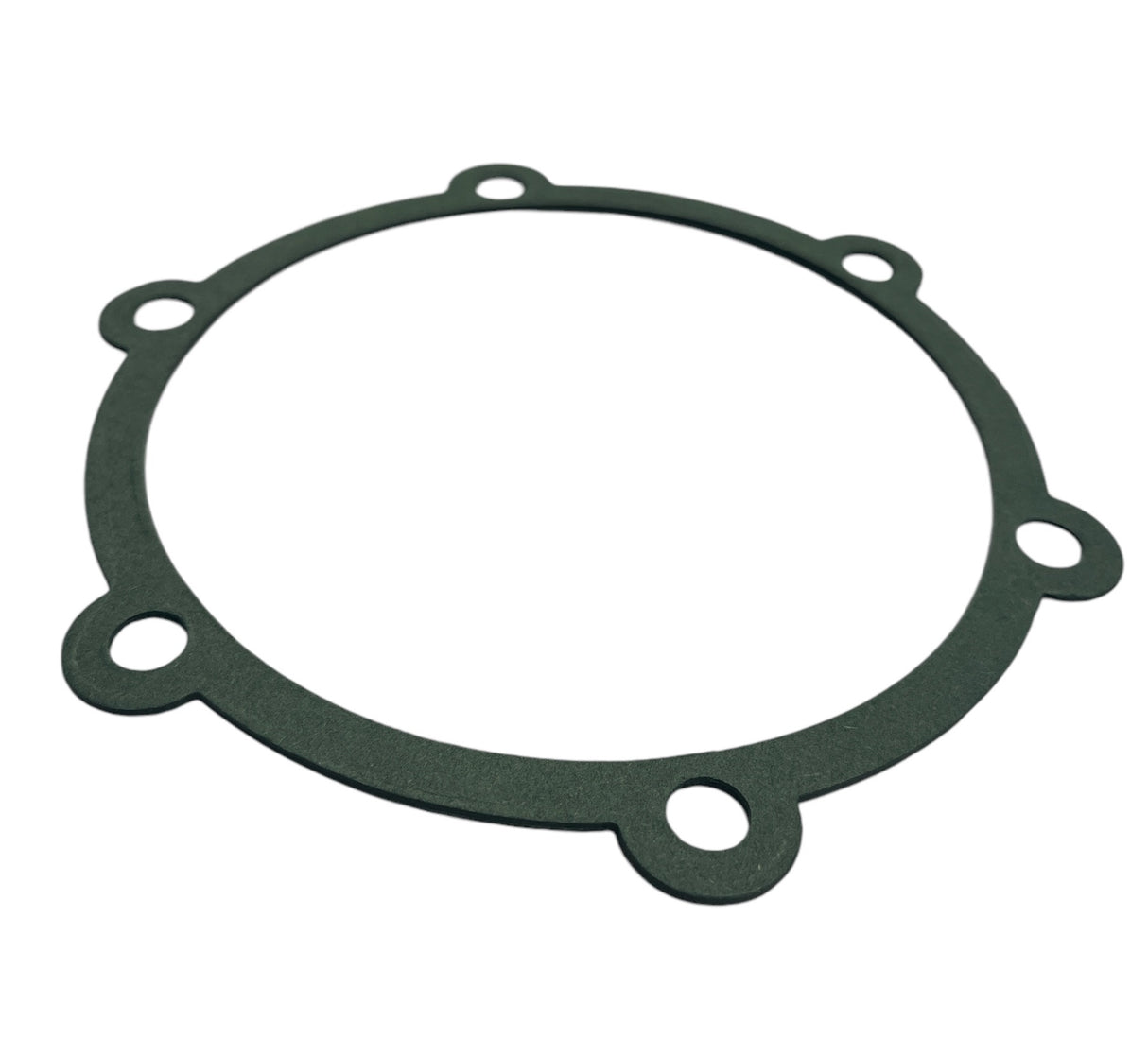 Hypro Gasket for Cast Iron Centrifugal Pumps - 1710-0017