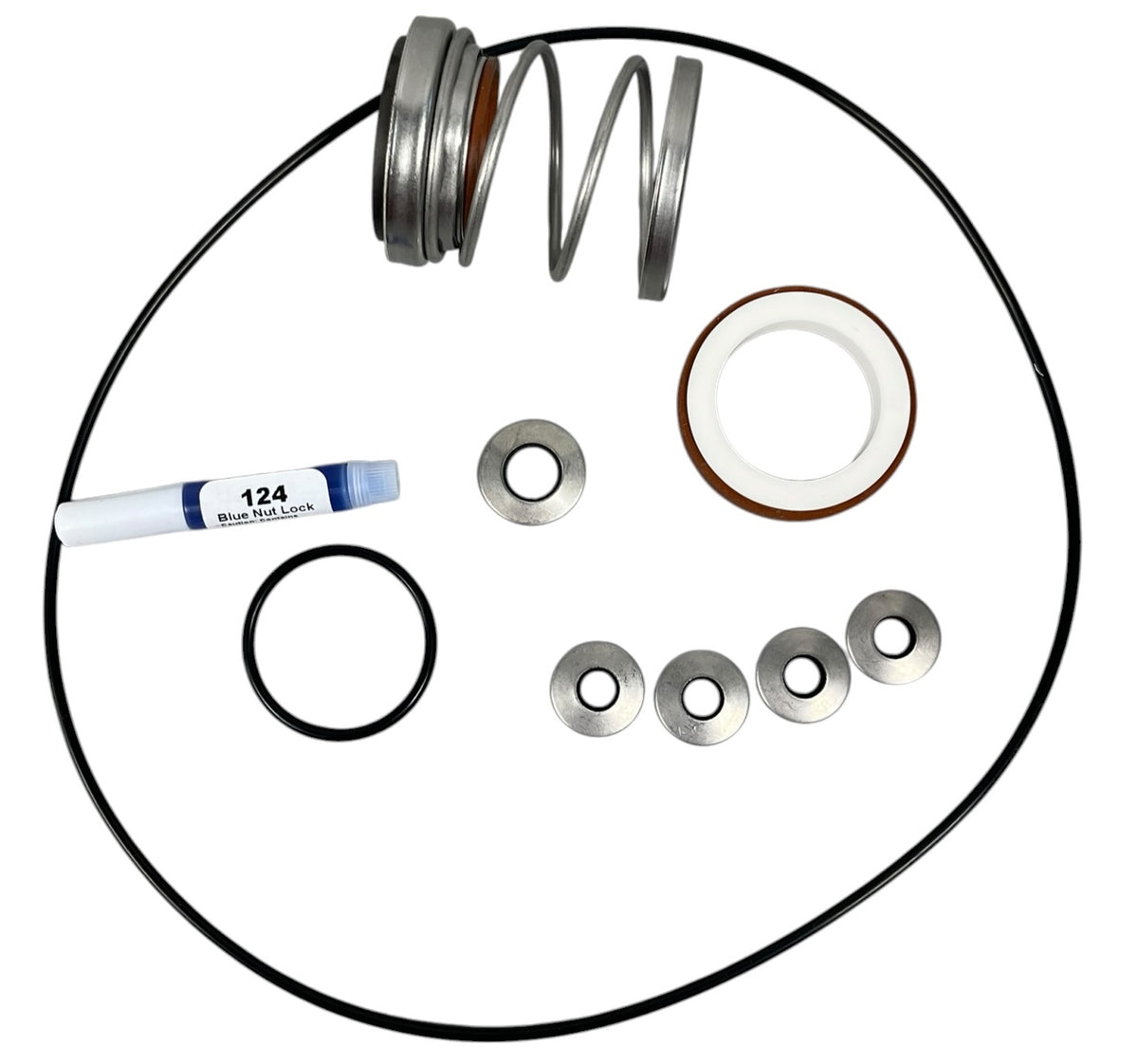 Ace Pumps Repair Kit for GE-860/1660 Series Pumps (61010) - RK-GE-860/1660