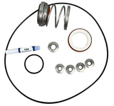 Ace Pumps Repair Kit for GE-860/1660 Series Pumps (61010) - RK-GE-860/1660