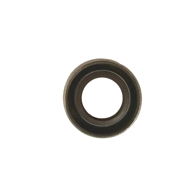 Hypro Viton Seal for 4 And 6 Roller Pumps - 2107-0002
