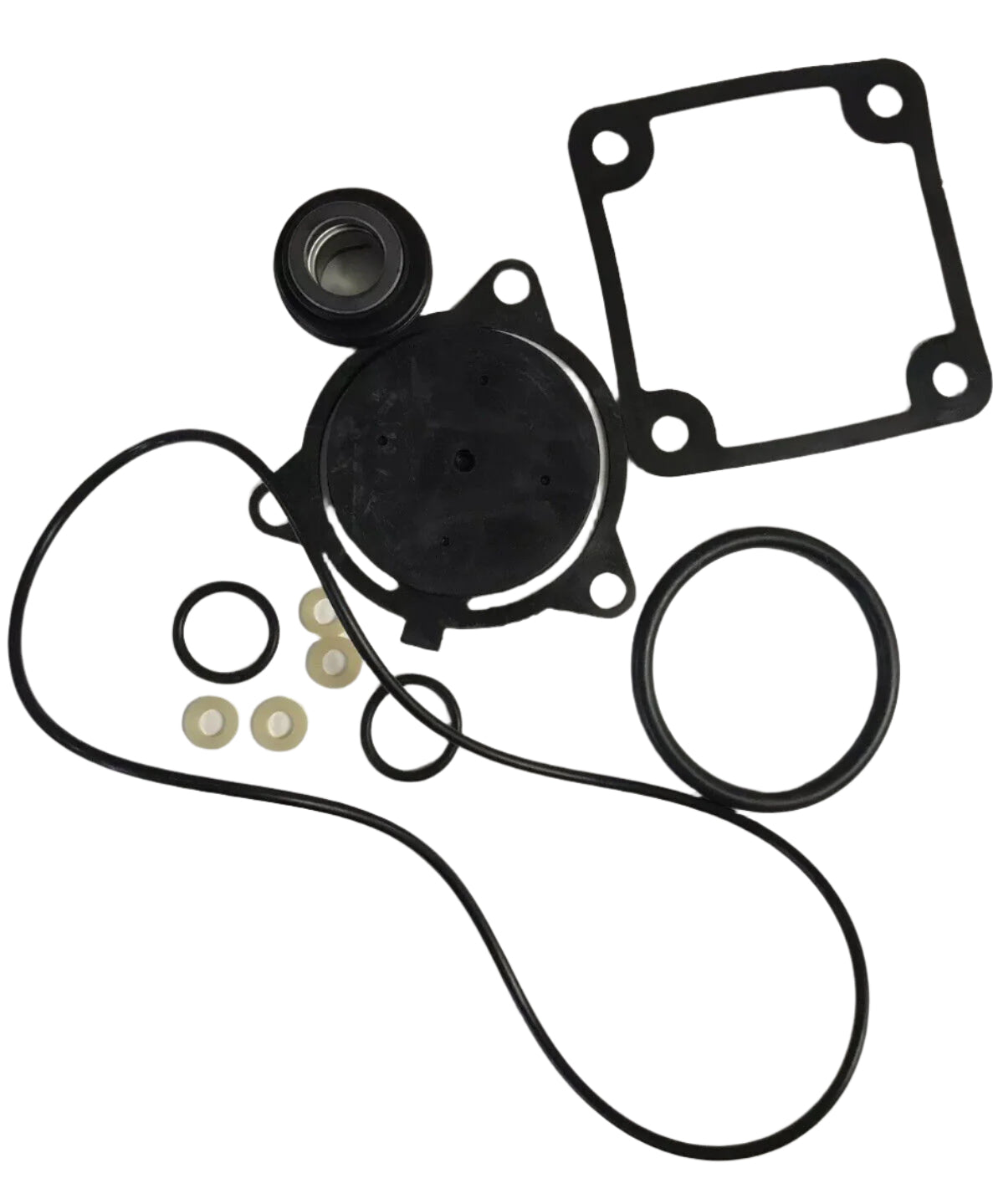 Hypro Seal Kit For 1543A 3" Transfer Pump - 3430-0800