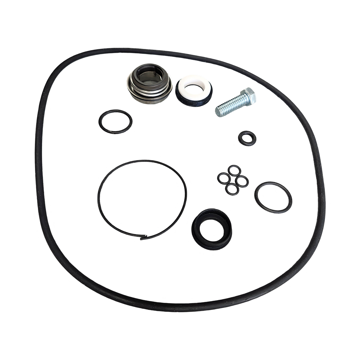 Banjo Replacement 3 Inch Pump Seal and O-Ring Kit - 13999