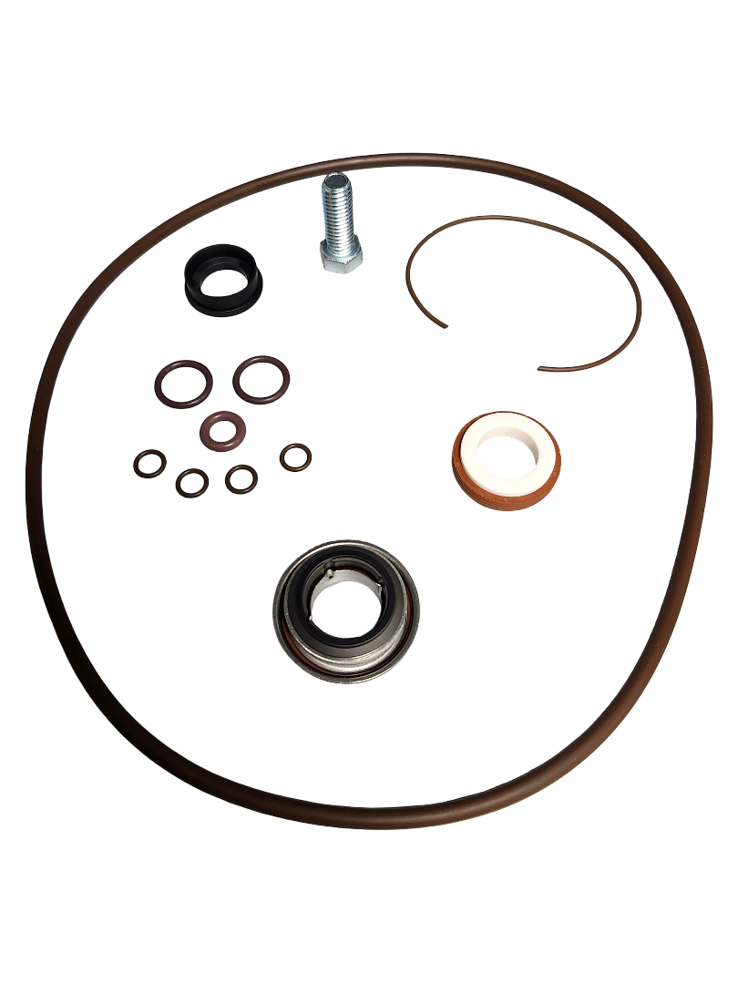Banjo 2 Inch Poly Pump Viton Seal and O-Ring Kit - 12999AV