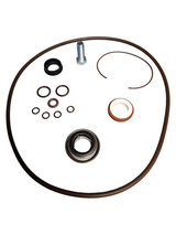 Banjo 2 Inch Poly Pump Viton Seal and O-Ring Kit - 12999AV