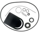 Hypro Viton Seal Kit For 2 Inch Poly Transfer Pump 1540 And 9342 Series - 3430-0659